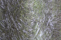 Alma fibreglass roof work